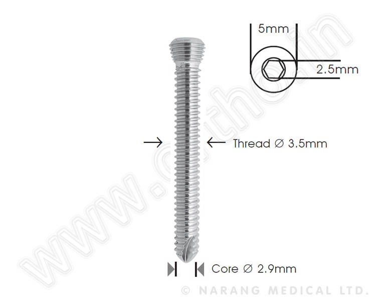 Safety Lock Screw ∅ 3.5mm, SS, Self Tapping,Length 10, 12, 14, 16, 18, 20, 22 & 24mm (2 each)