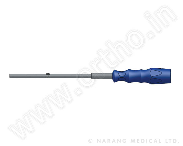 Spike Screw Introducer