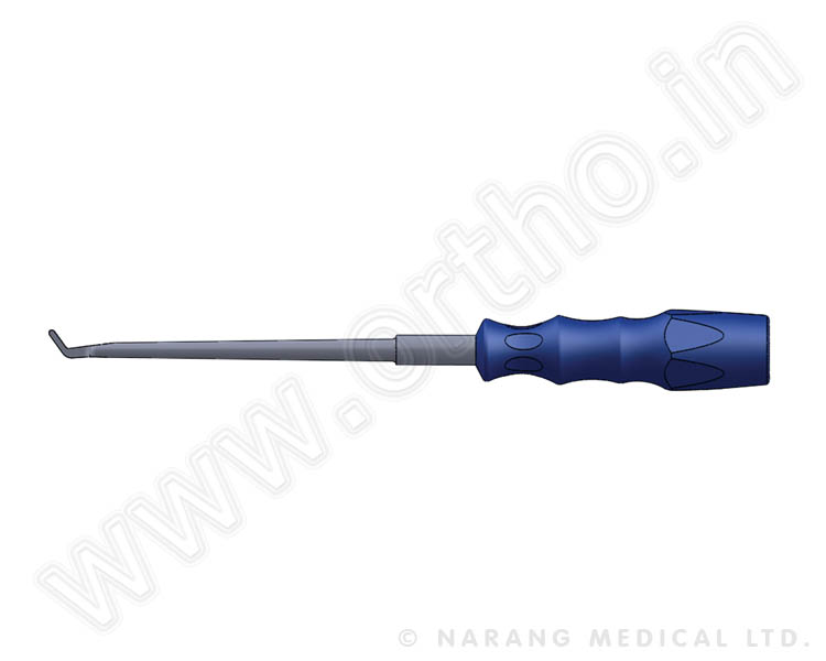 Rod Fork