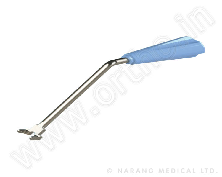 Rod Fork