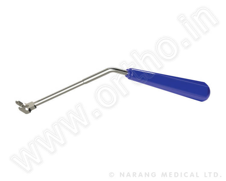 Rod Fork