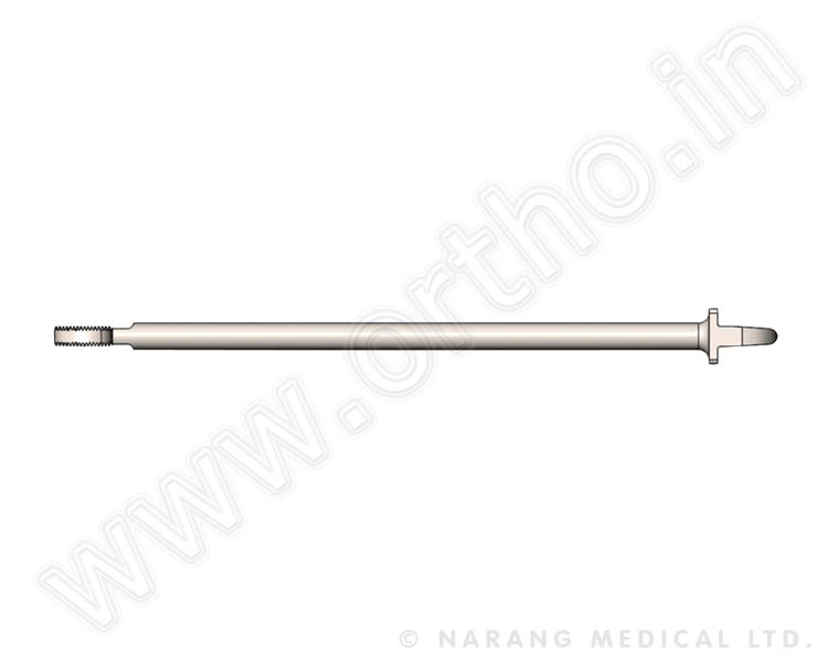 Rasp Cum Trial 6mm